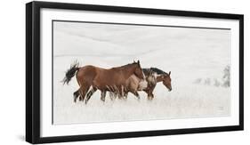 Horse Moves-Nathan Larson-Framed Photographic Print