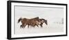 Horse Moves-Nathan Larson-Framed Photographic Print