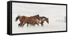 Horse Moves-Nathan Larson-Framed Stretched Canvas