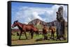 Horse near Statues on the Isla De Pascua. Rapa Nui. Easter Island-Vladimir Krupenkin-Framed Stretched Canvas