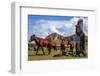 Horse near Statues on the Isla De Pascua. Rapa Nui. Easter Island-Vladimir Krupenkin-Framed Photographic Print