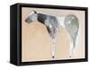 Horse No. 25-Anthony Grant-Framed Stretched Canvas