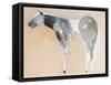 Horse No. 25-Anthony Grant-Framed Stretched Canvas