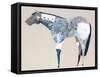 Horse No. 34-Anthony Grant-Framed Stretched Canvas