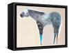 Horse No. 66-Anthony Grant-Framed Stretched Canvas