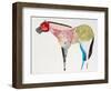 Horse No. 67-Anthony Grant-Framed Art Print