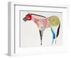 Horse No. 67-Anthony Grant-Framed Art Print