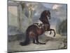 Horse of Imperial Stables-null-Mounted Giclee Print