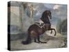 Horse of Imperial Stables-null-Stretched Canvas