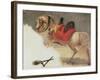 Horse of Mustapha-Pacha-Baron Antoine Jean Gros-Framed Giclee Print