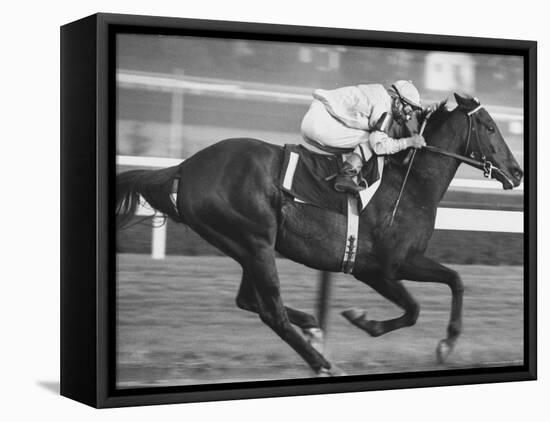 Horse of the Year, Kelso, Racing-George Silk-Framed Stretched Canvas