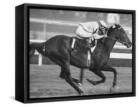 Horse of the Year, Kelso, Racing-George Silk-Framed Stretched Canvas
