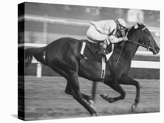 Horse of the Year, Kelso, Racing-George Silk-Stretched Canvas