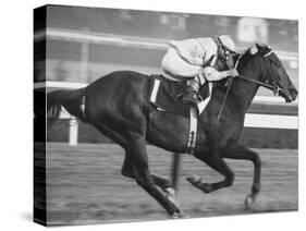 Horse of the Year, Kelso, Racing-George Silk-Stretched Canvas