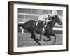 Horse of the Year, Kelso, Racing-George Silk-Framed Premium Photographic Print