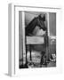 Horse of the Year, Kelso, Standing in His Stall-George Silk-Framed Photographic Print