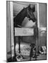 Horse of the Year, Kelso, Standing in His Stall-George Silk-Mounted Photographic Print
