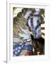 Horse on Carousel in Caras Park, Missoula, Montana, USA-Jamie & Judy Wild-Framed Photographic Print