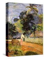 Horse on Road, Tahitian Landscape, 1899-Paul Gauguin-Stretched Canvas