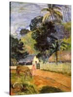 Horse on Road, Tahitian Landscape, 1899-Paul Gauguin-Stretched Canvas