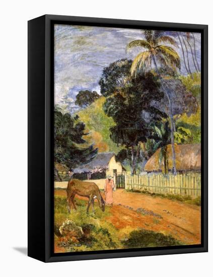 Horse on Road, Tahitian Landscape, 1899-Paul Gauguin-Framed Stretched Canvas