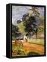 Horse on Road, Tahitian Landscape, 1899-Paul Gauguin-Framed Stretched Canvas