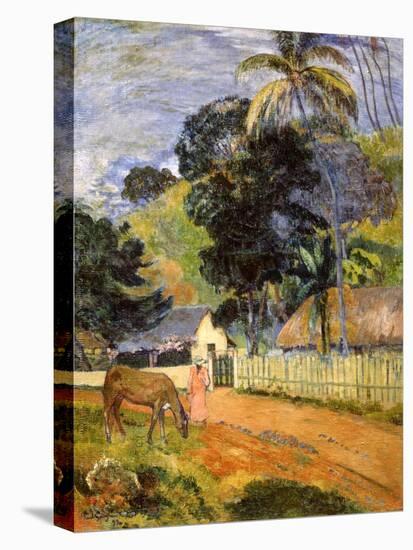 Horse on Road, Tahitian Landscape, 1899-Paul Gauguin-Stretched Canvas