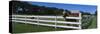 Horse Peeking over a Fence on a Farm, Kent County, Michigan, USA-null-Stretched Canvas