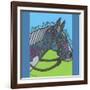 Horse (Pinto)-Denny Driver-Framed Giclee Print