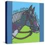 Horse (Pinto)-Denny Driver-Stretched Canvas