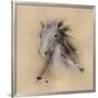 Horse Play II-J^P^ Prior-Framed Giclee Print