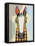 Horse Play-Lanre Adefioye-Framed Stretched Canvas