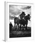 Horse Plough-null-Framed Photographic Print