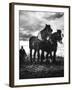 Horse Plough-null-Framed Photographic Print