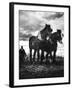 Horse Plough-null-Framed Photographic Print