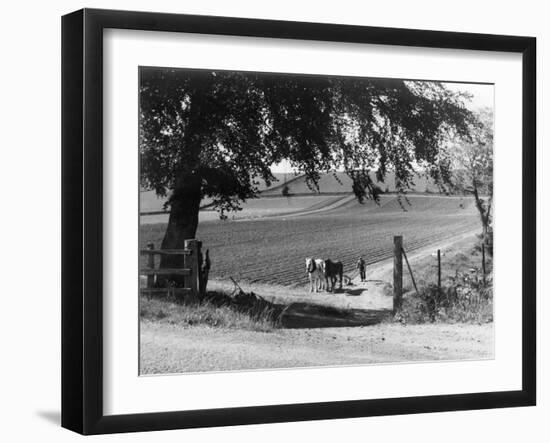 Horse Plough-J. Chettlburgh-Framed Photographic Print