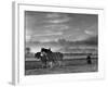 Horse Ploughing-Associated Newspapers-Framed Photo