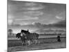 Horse Ploughing-Associated Newspapers-Mounted Photo