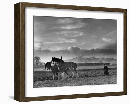 Horse Ploughing-Associated Newspapers-Framed Photo