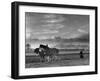 Horse Ploughing-Associated Newspapers-Framed Photo