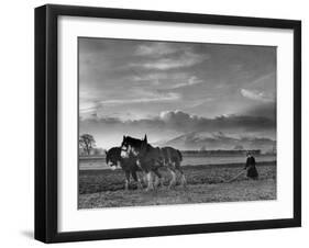 Horse Ploughing-Associated Newspapers-Framed Photo