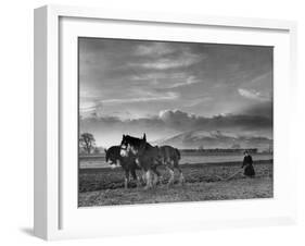 Horse Ploughing-Associated Newspapers-Framed Photo