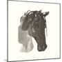 Horse Portrait I-Chris Paschke-Mounted Art Print