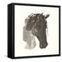 Horse Portrait I-Chris Paschke-Framed Stretched Canvas