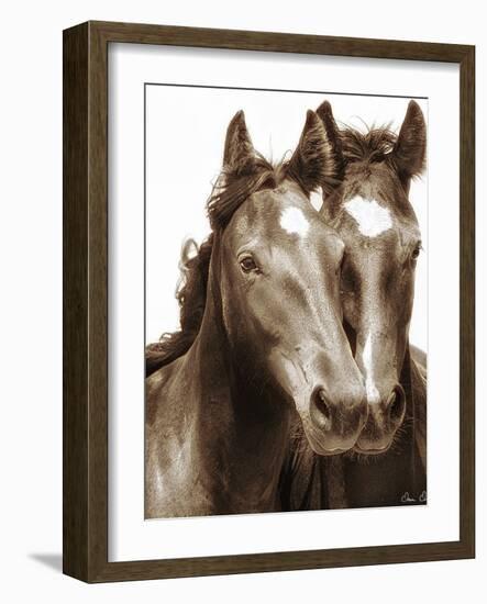 Horse Portrait III-David Drost-Framed Photographic Print