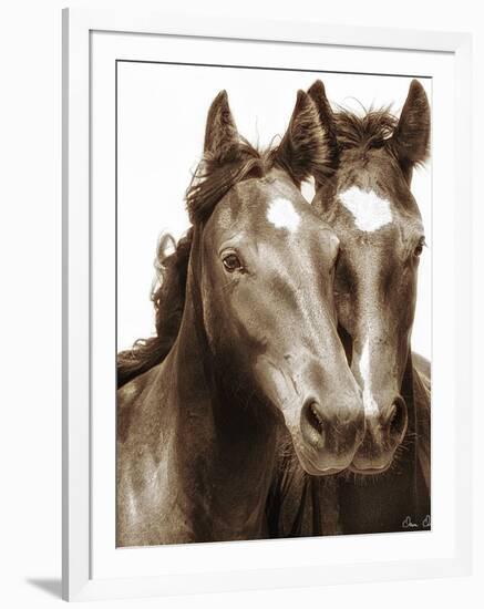 Horse Portrait III-David Drost-Framed Photographic Print