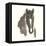 Horse Portrait III-Chris Paschke-Framed Stretched Canvas