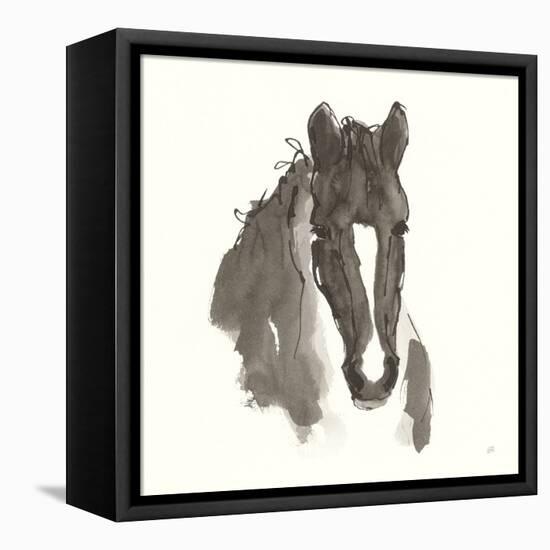 Horse Portrait III-Chris Paschke-Framed Stretched Canvas