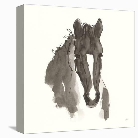 Horse Portrait III-Chris Paschke-Stretched Canvas