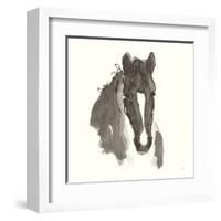 Horse Portrait III-Chris Paschke-Framed Art Print